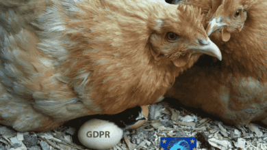 Könyvelőzóna - mint kotlós tyúk a tojásokat, úgy óvjuk a partnereink adatait a GDPR nélkül is